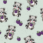 Waschbär